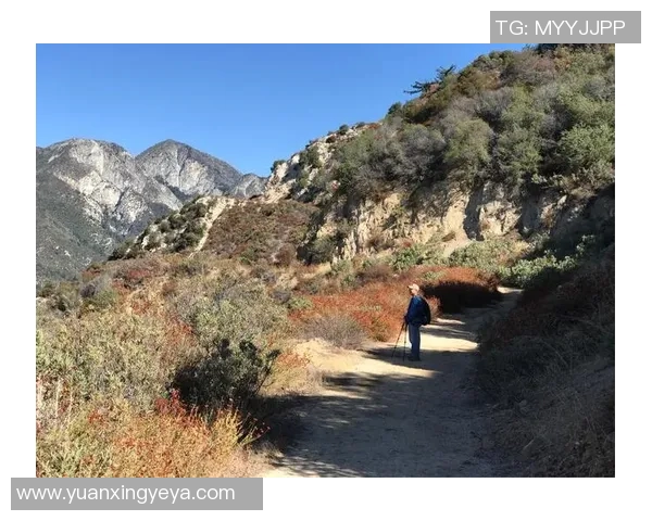 足球明星挑战极限技巧展现惊人爬行头顶球技艺引发全场惊叹