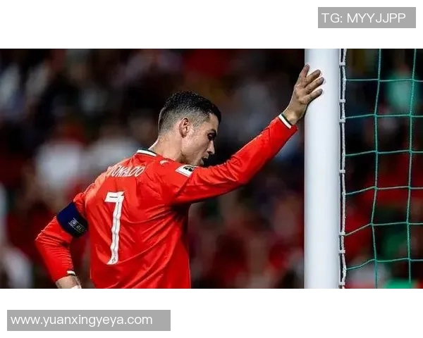 足球明星罗尼的辉煌荣誉与传奇生涯回顾