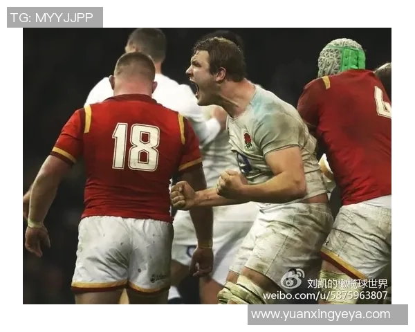 丹麦与爱尔兰激战正酣比赛结果揭晓引发热议 丹麦与爱尔兰激战正酣比赛结果揭晓引发热议