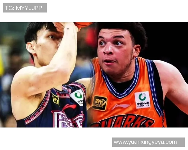 明星教练篮球：从战术大师到球员心灵导师的全方位解析