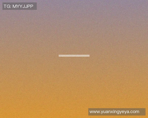 全球足球赛事信息一站式查询平台助你掌握精彩赛事动态