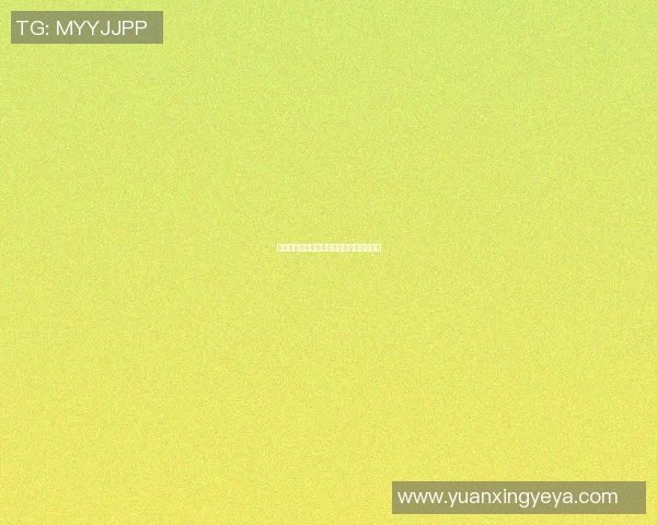篮球巨星齐聚一堂共绘传奇瞬间的精彩合影 篮球巨星齐聚一堂共绘传奇瞬间的精彩合影