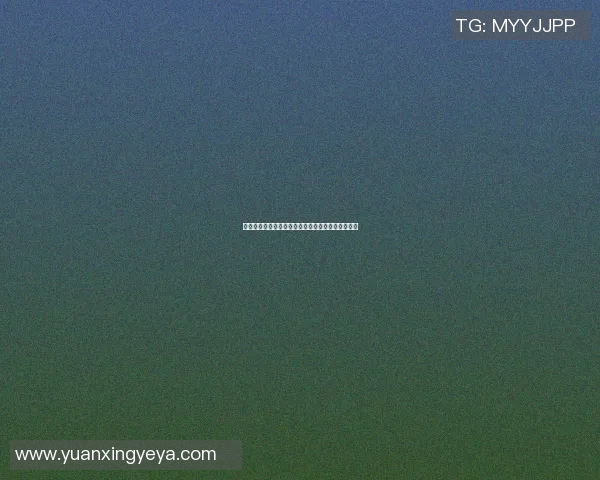 篮球明星汉化之路：从球场到文化的跨界融合与影响